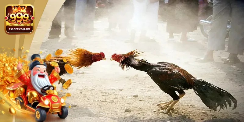 Đá Gà 999bet Luật Chơi Chi Tiết Và Lưu Ý Cho Người Mới Hướng dẫn chi tiết các bước tham gia sân chơi đá gà tại 999bet